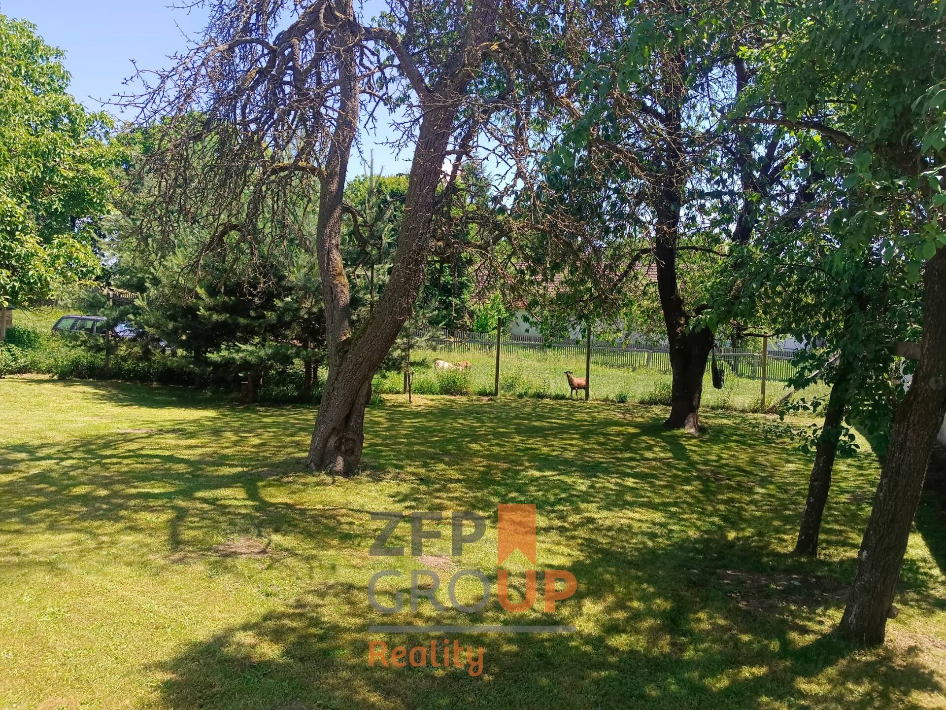 Prodej pozemku 1 575 m² Krasonice – vzrostlé stromy na pozemku
